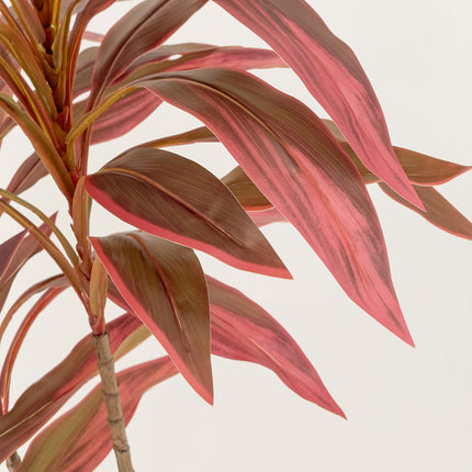 Artificial Plant - Dracaena Tree with red leaves - 120cm