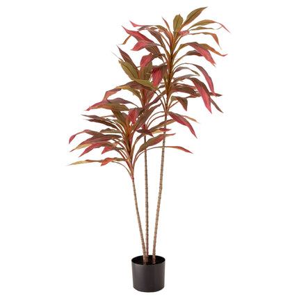 Artificial Dracaena plant with red leaves