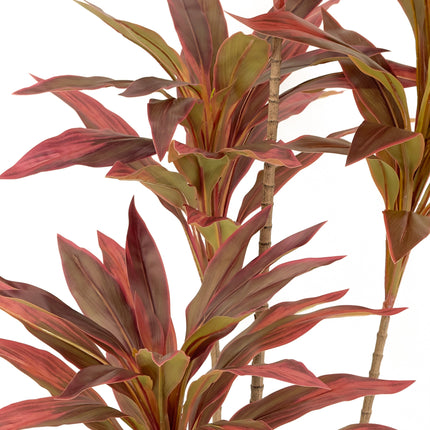 Artificial Plant - Dracaena Tree with red leaves - 150cm