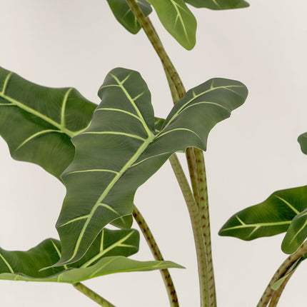 Artificial Plant - Alocasia (Elephant Ears) 100cm