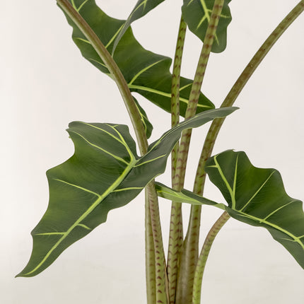 Artificial Plant - Alocasia (Elephant Ears) 100cm