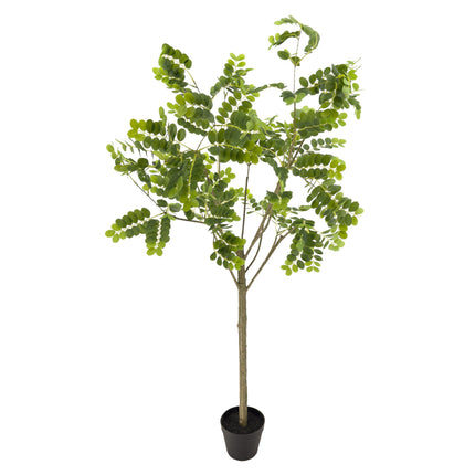Artificial Plant - Japanese Pagoda Tree - 150cm