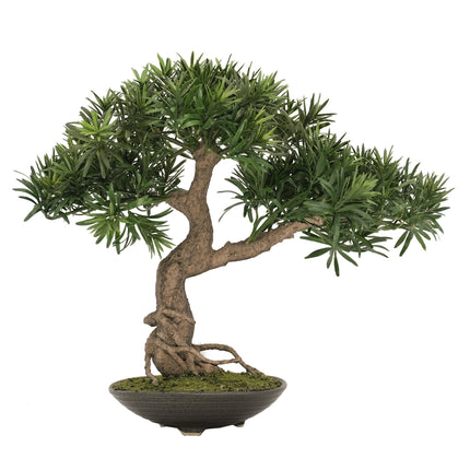 Artificial Plant Buddhist Pine Bonsai Informal Upright (Moyogi)