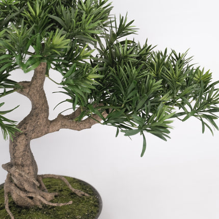Artificial Plant Buddhist Pine Bonsai - Informal Upright (Moyogi) 45cm