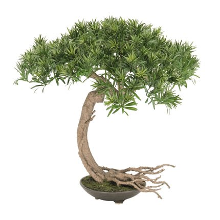Artificial Plant Buddhist Pine  Literati (Bunjingi) Bonsai