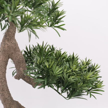 Artificial Plant Buddhist Pine Bonsai - Slanting Exposed Root Fusion (Shakan-Neagari) 65cm