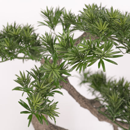 Artificial Plant Buddhist Pine Bonsai - Semi-Cascade (han kengai) 75cm
