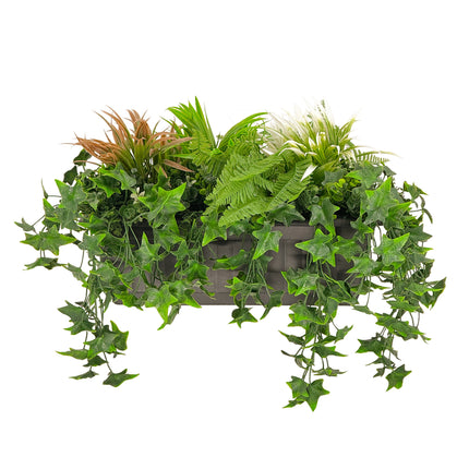 Balcony Hanging Planters with Boston fern, spider plant and ivy