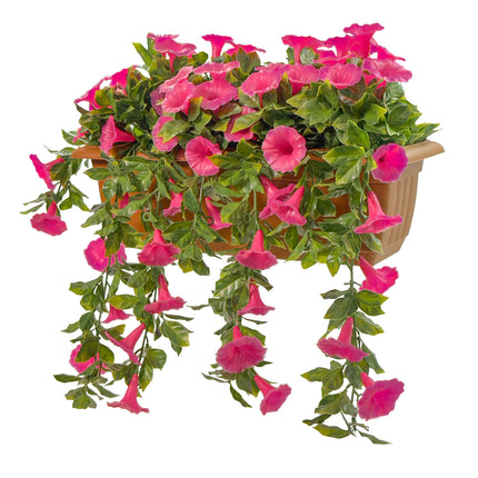 Balcony Hanging Planters Morning Glory pink flowers