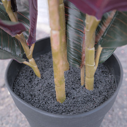 Potted faux Burgundy Rubber Plant