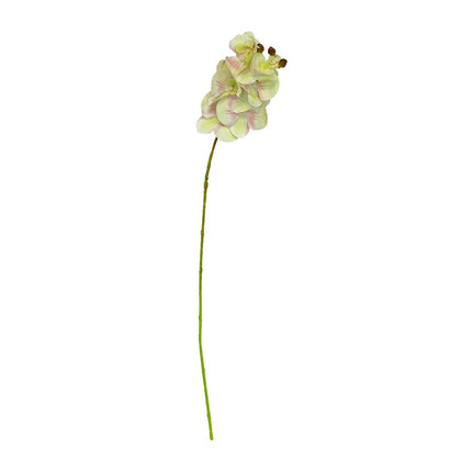 65cm Artificial Orchid - GREEN
