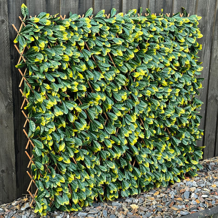 Expanding Trellis - Artificial Green Photinia leaves Outdoor 180 x 90cm