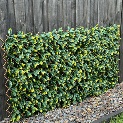 Expandable Trellis - Artificial Green Photinia leaves Outdoor 180 x 90cm
