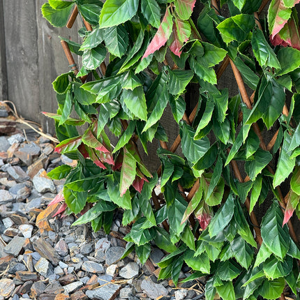 Expanding Trellis - Artificial Red Photinia leaves Outdoor 180 x 90cm