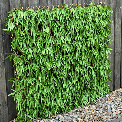 Expanding Trellis - Artificial Bamboo leaves