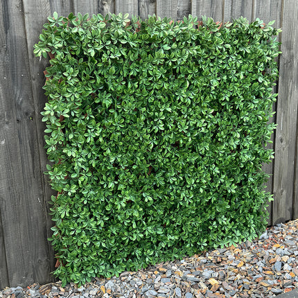 Expanding Trellis - Artificial Dark Green Barberry leaves Outdoor 180 x 90cm