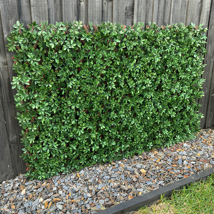 Expandable Trellis - Artificial Dark Green Barberry leaves Outdoor 180 x 90cm