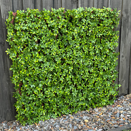 Expanding Trellis - Artificial Barberry leaves Light Green Outdoor 180 x 90cm