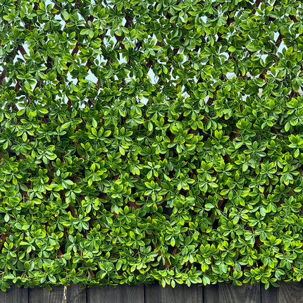 artifical hedge