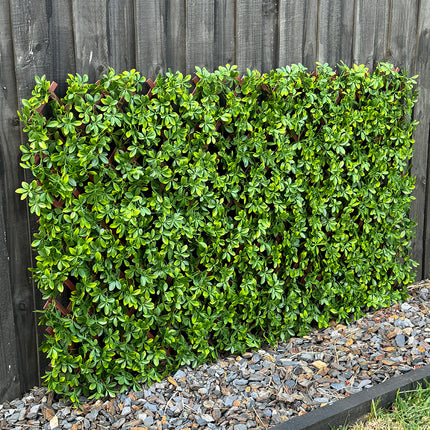 Expandable Trellis - Artificial Barberry leaves Light Green Outdoor 180 x 90cm