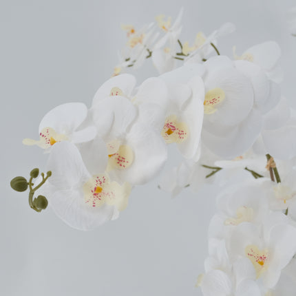 Artificial Plants - Orchid Flower White 85cm