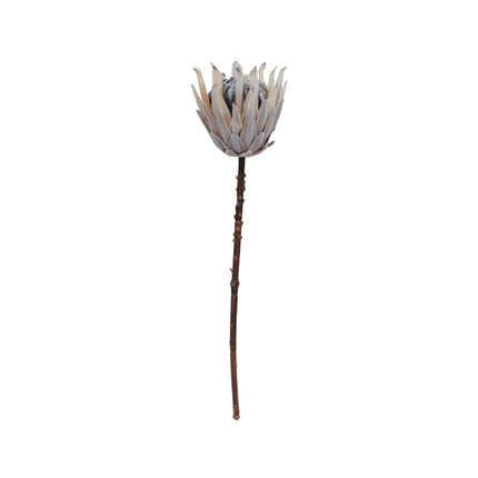 Artificial Flower, Artificial Dried Floral