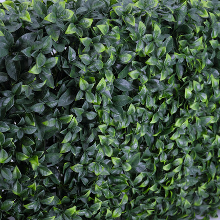 Artificial plant-Faux Portable-Pittosporum Buxus-hedge cube panel-fake plant Melbourne-Sydney -Australia-retail-shop-home-garden-decor