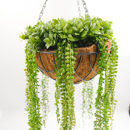 50cm String Of Pearls Artificial Hanging Basket