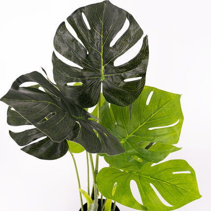 Artificial Plant - Monstera 70cm