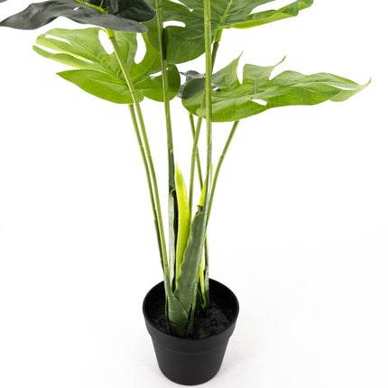 Artificial Plant - Monstera 70cm