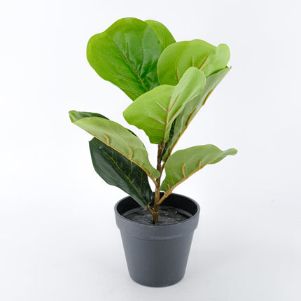 Artificial Fiddle Leaf Fig Plant 38cm
