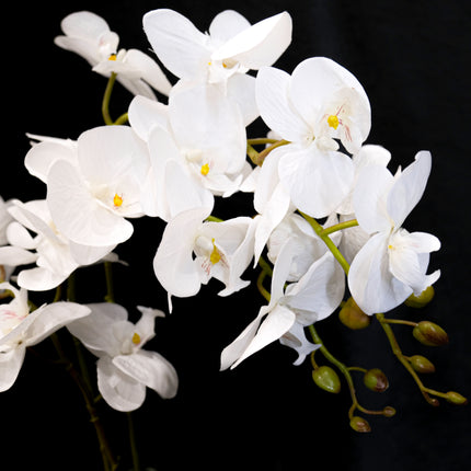 Artificial Plant - Orchid White 65cm