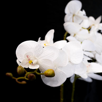 Artificial Plant - Orchid White 65cm