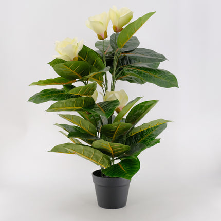 Artificial Plant - 80cm Artificial Magnolia Flower Tree (Yulan)