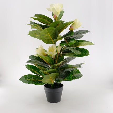 Artificial Plant - 80cm Artificial Magnolia Flower Tree (Yulan)