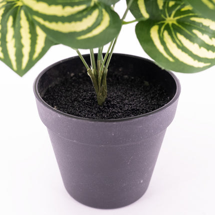 potted Artificial plant