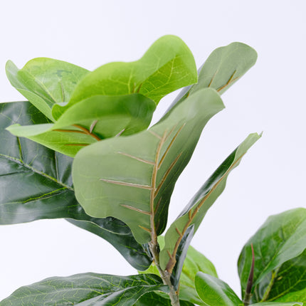 Fiddle Leaf Fig Plant Artificial Detailed Leaves