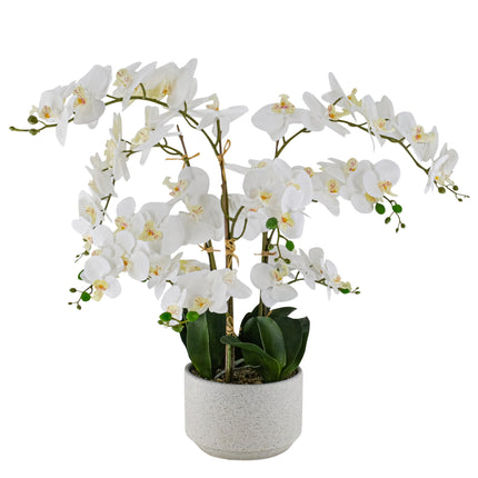 artificial plant white orchid