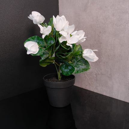 Artificial Plant - Cyclamen White 40cm