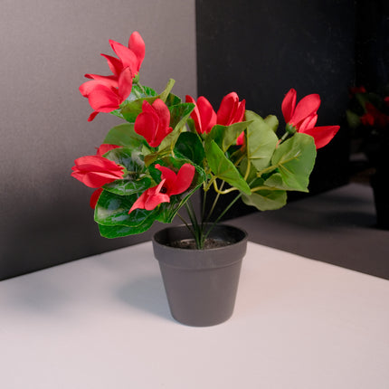Artificial Plant - Cyclamen Red 40cm