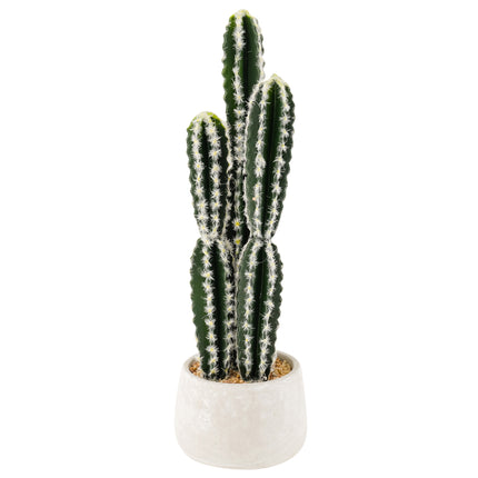 Artificial cactus in pot