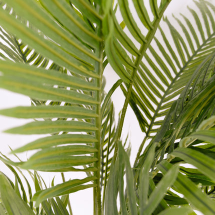 Artificial Palm Tree - 180cm