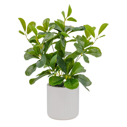 Artificial Plant - Greenery in Ceramic Pot 30cm