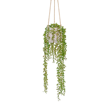 Artificial Plant - 50cm Hanging String of Pearls W/ Ceramic Pot