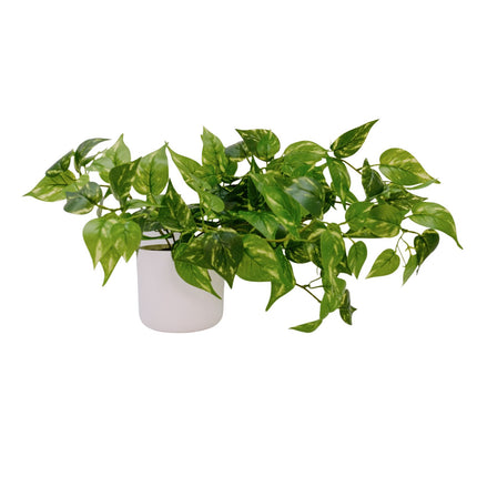 Artificial Plant - Devil's Ivy 35cm