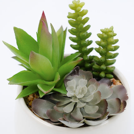 Artificial Succulents - Trio in White Pot 19cm