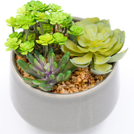 Artificial Succulent - Trio in Grey Pot 17cm