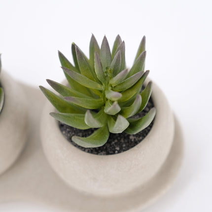 20cm Artificial Trio Succulent In Concrete Pots -  Green