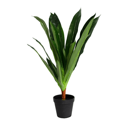 50cm Artificial Dracaena Plant
