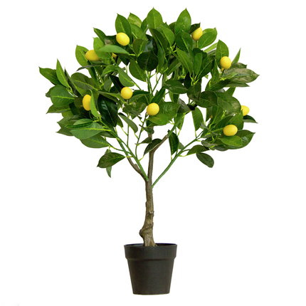70cm Artificial Tree Citrus Lemon